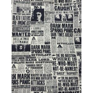 Pottery Barn Harry Potter Daily Prophet Duvet Cover TWIN Newspaper Rare Bedding